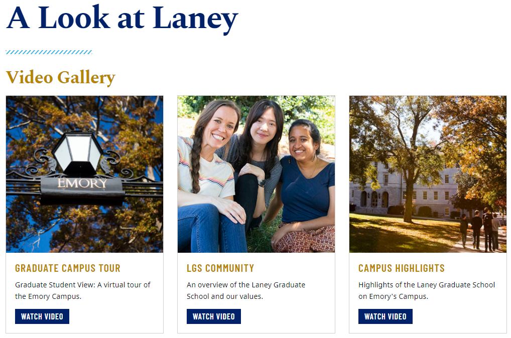 A Look at Laney Video Gallery